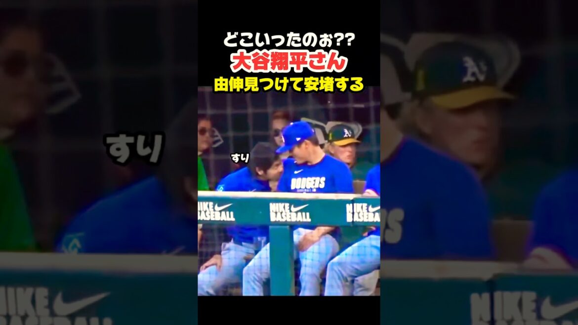 やっぱり由伸さんが大好きな大谷翔平さん🤭 #大谷翔平 #mlb #shorts #dodgers #ドジャース #野球 #ohtani #baseball #投手 #山本由伸