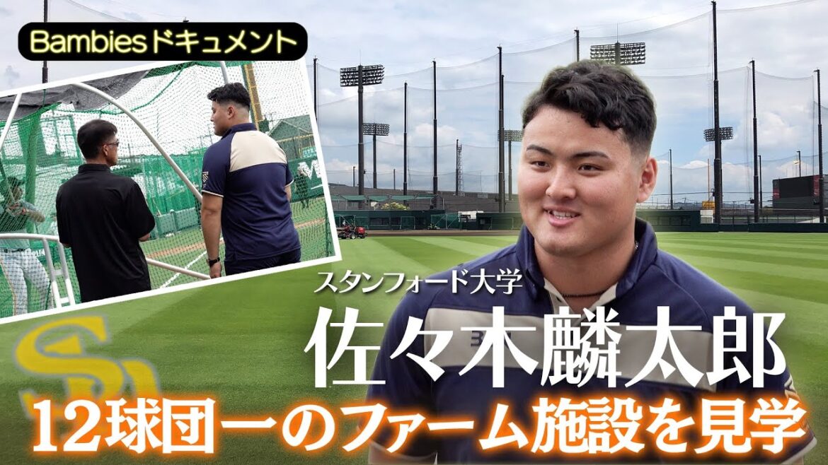 【佐々木麟太郎 12球団一のファーム施設へ |ドキュメント】 #福岡ソフトバンクホークス #sbhawks #プロ野球 #bambies