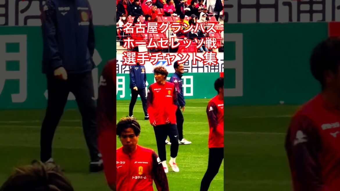 【グランパスアーカイブ】セレッソ大阪戦 試合前選手チャント集（2026年4月4日 J1 第9節 名古屋グランパス×セレッソ大阪）