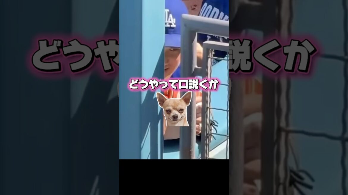 可愛い子を見つけたドジャース大谷翔平