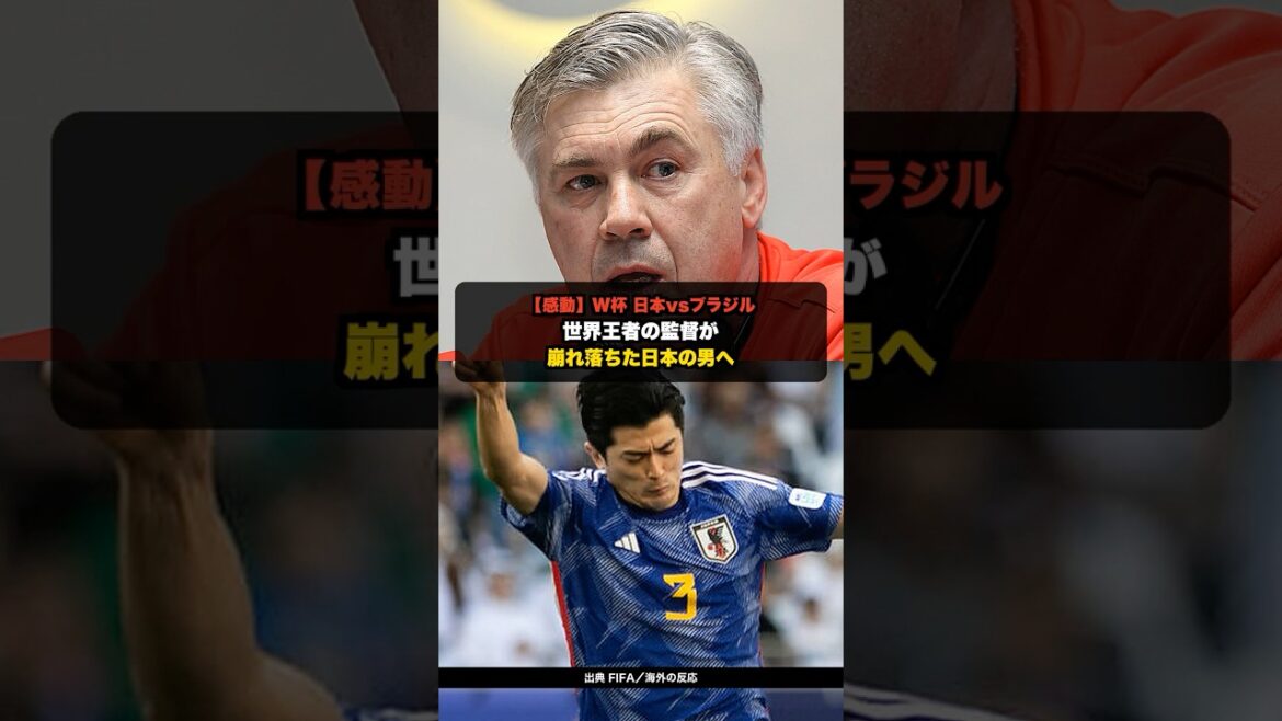 【感動】W杯 日本vsブラジル 試合後アンチェロッティが谷口にとった行動【海外の反応】 #shorts #サッカー #海外の反応 #w杯 【感動】W杯 日本vsブラジル 試合後アンチェロッティが谷口にとった行動【海外の反応】 #shorts #サッカー #海外の反応 #w杯