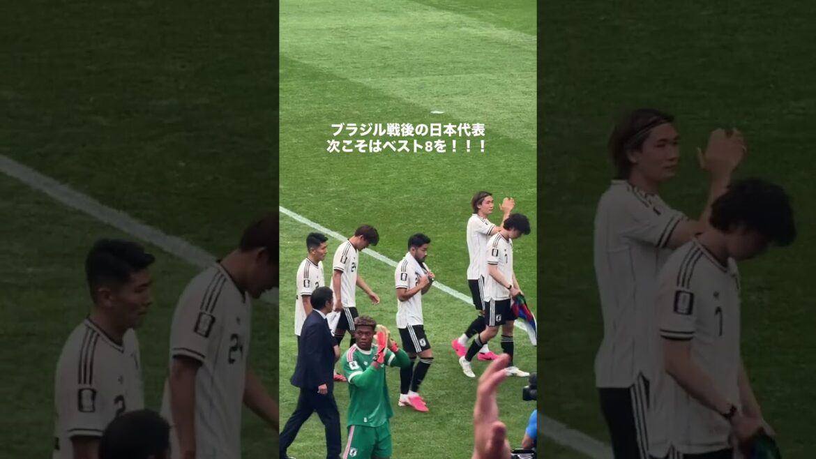 ブラジル戦後に板倉滉が田中碧に寄り添う　#サッカー #サッカー日本代表 #ワールドカップ