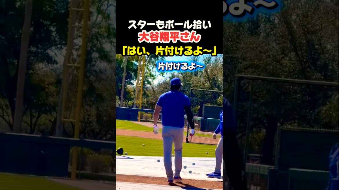 大谷翔平さん 率先してボール拾い👏 #大谷翔平 #mlb #shorts #dodgers #ドジャース #野球 #ohtani #baseball #投手
