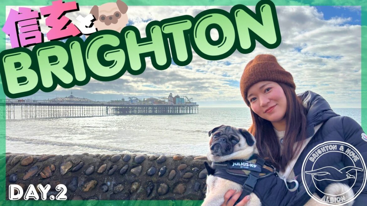 【ブライトンDay2】三笘薫選手で話題のお店へ!ドッグフレンドリーなBrightonを信玄と散策🐶 【ブライトンDay2】三笘薫選手で話題のお店へ!ドッグフレンドリーなBrightonを信玄と散策🐶