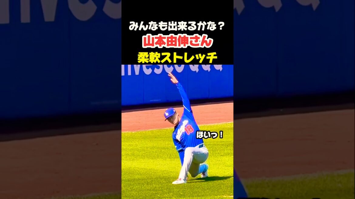 山本由伸ストレッチ みんなもできるかな?🤭 #大谷翔平 #mlb #shorts #dodgers #ドジャース #野球 #ohtani #baseball #投手 #山本由伸