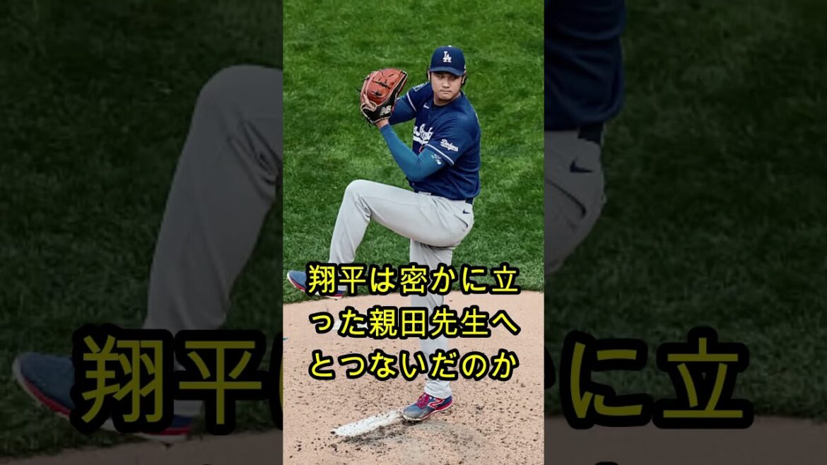 😳⚾【大谷翔平】涙で語った“矢田教授との夕食”…タッカーも憧れた感動エピソード🔥