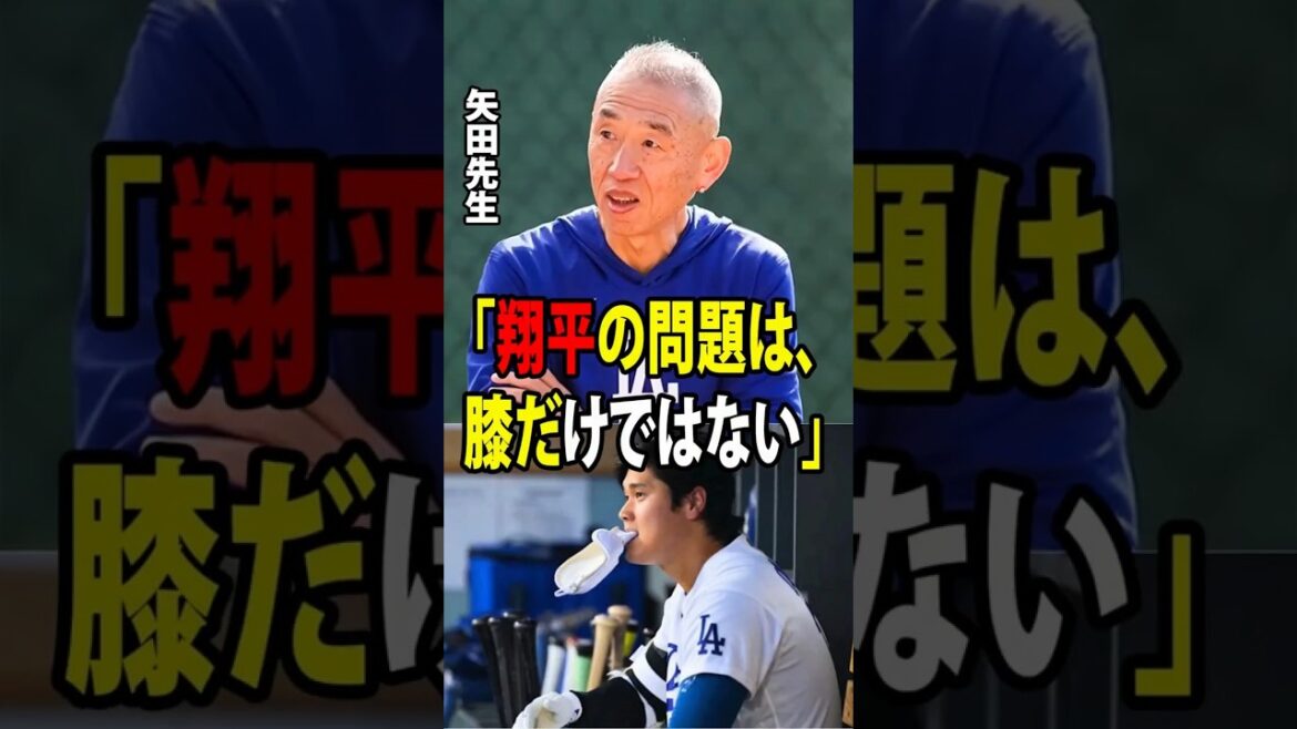 大谷翔平の打率がシーズン後半戦に入ってから大きく低下し、多くのファンが不安を募らせています。そんな中、矢田先生も現在の大谷の状態について見解を示しました。【海外の反応 MLBメジャー 野球】