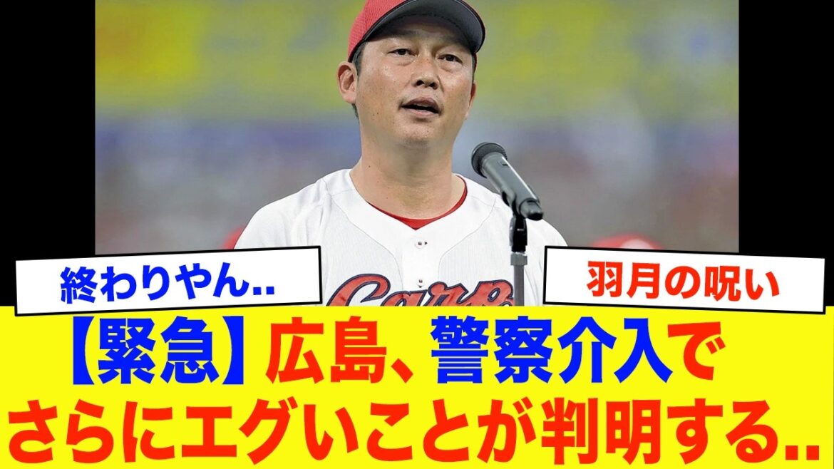【悲報】新井監督「本当に申し訳ないことをした…」広島、警察介入でさらにとんでもないことが判明する…【プロ野球】【羽月隆太郎】