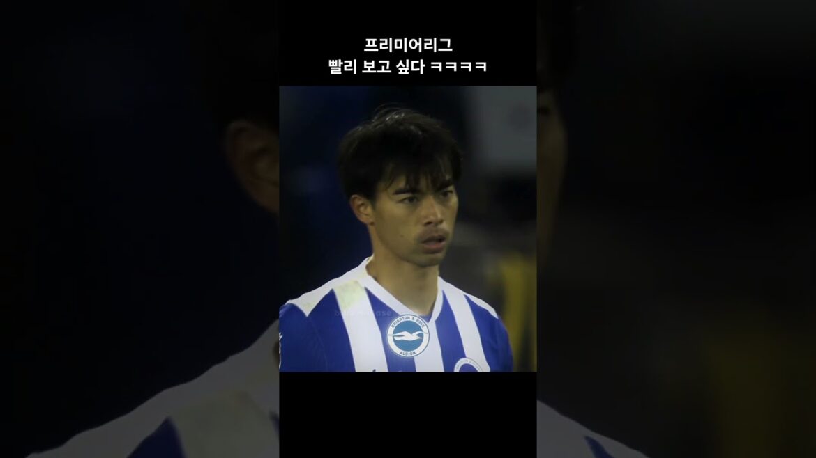 프리미어리그 빨리 보고 싶다 ㅋㅋㅋㅋ