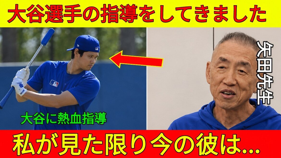⚾「左ひざの回復だけでは不十分」大谷翔平を指導した矢田先生が語る“本当に必要な改善点”🔥is….