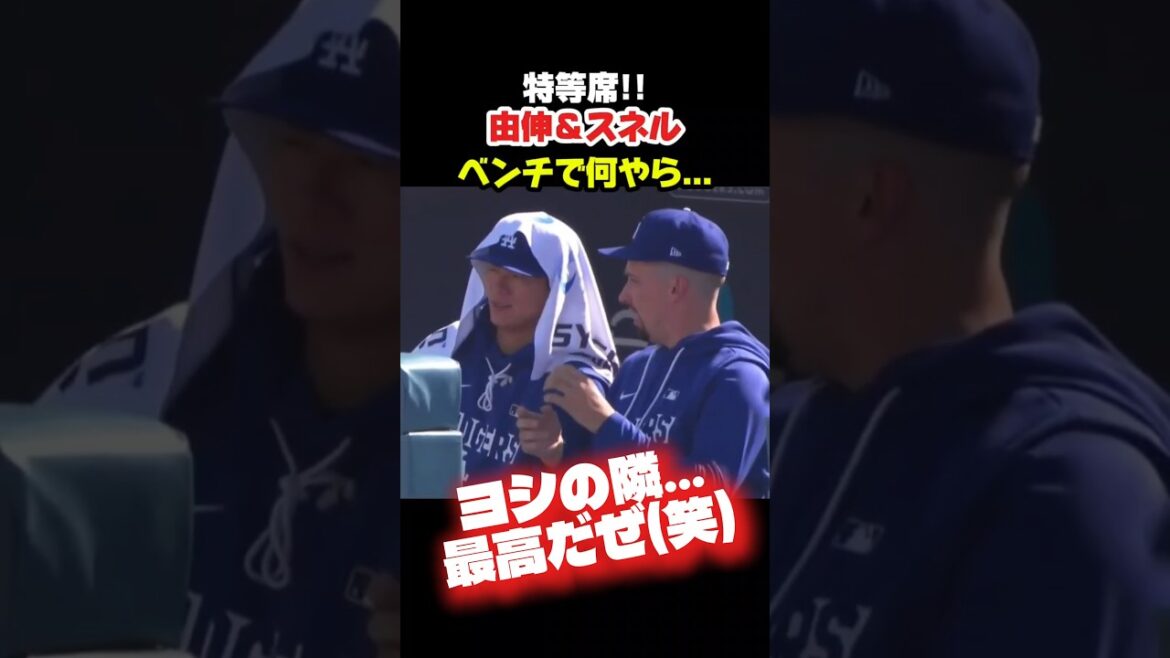 特等席で山本由伸を確保するスネル😂 #大谷翔平 #mlb #shorts #dodgers #ドジャース #野球 #ohtani #baseball #山本由伸