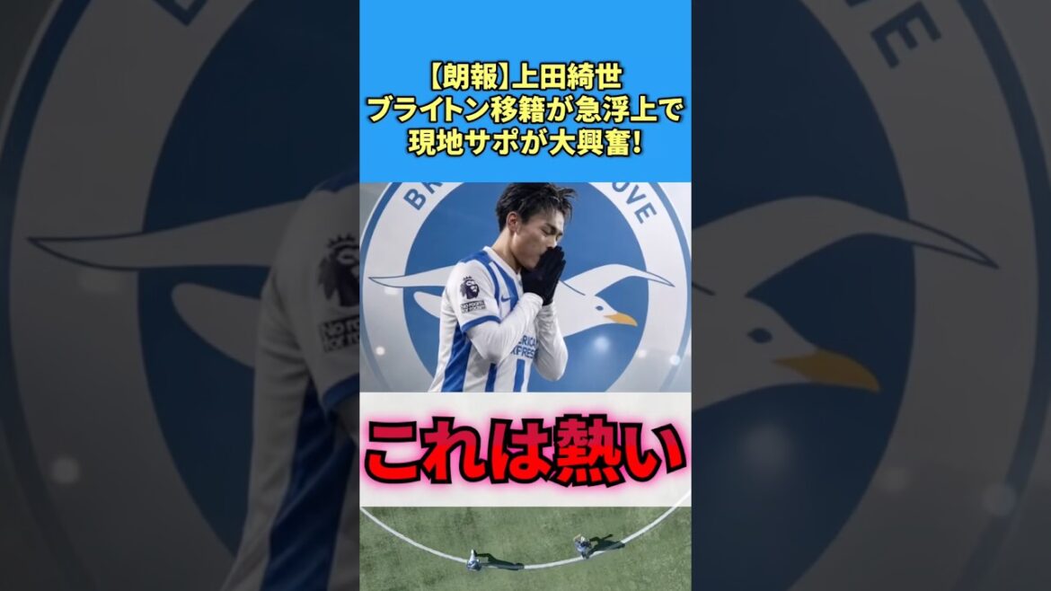 【朗報】上田綺世、ブライトン移籍が急浮上で現地サポが大興奮! #サッカー #上田綺世 #反応集