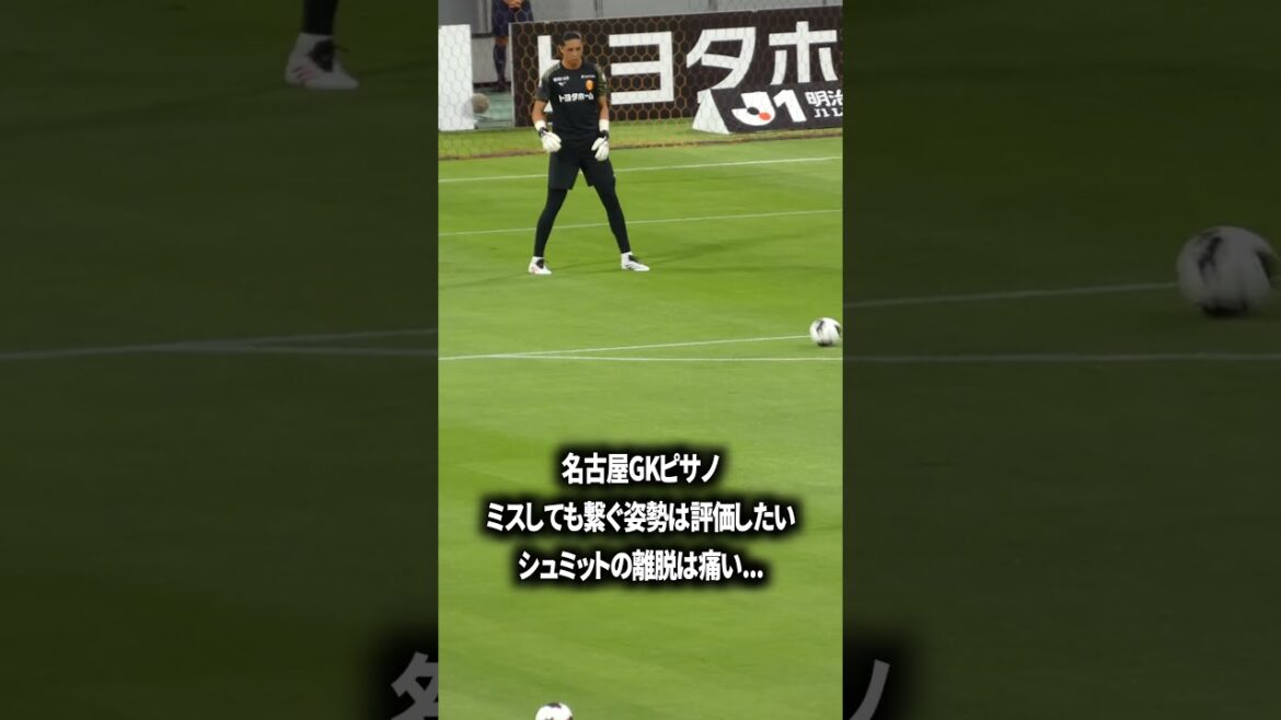 シュミットの離脱は痛い シュミットの離脱は痛い