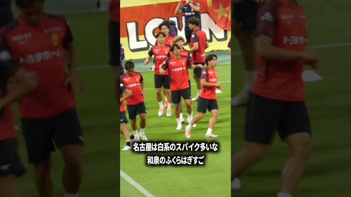 和泉のふくらはぎいつみてもすごい 和泉のふくらはぎいつみてもすごい