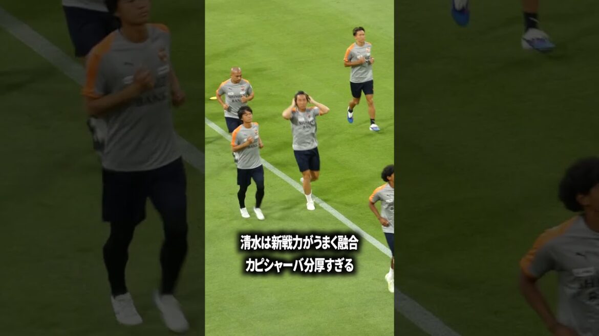 清水の補強成功だな 清水の補強成功だな