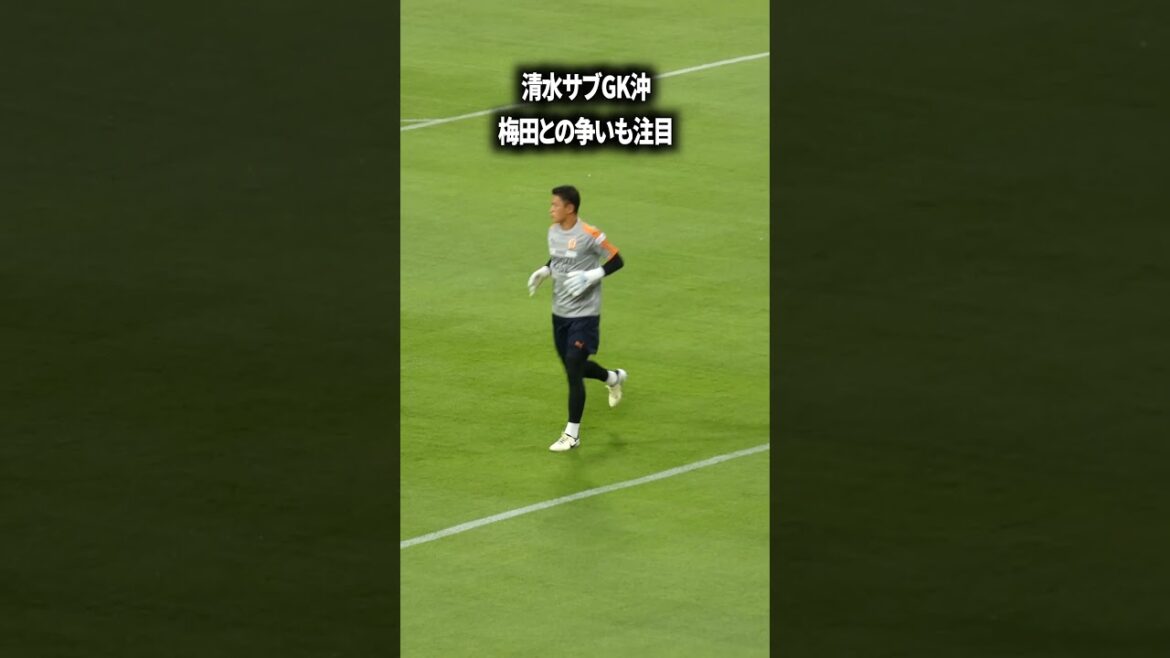 清水の守護神は誰だ? 清水の守護神は誰だ?