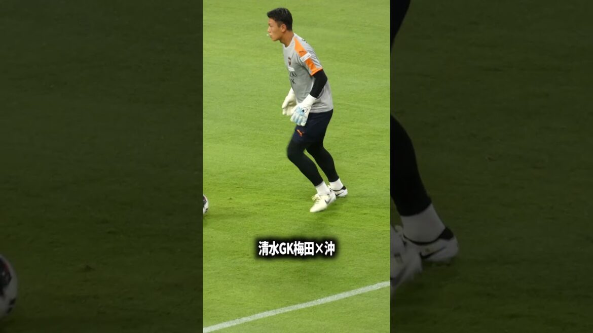 清水GKの層も厚いな 清水GKの層も厚いな