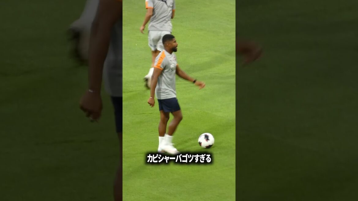 カピシャーバゴツすぎる カピシャーバゴツすぎる