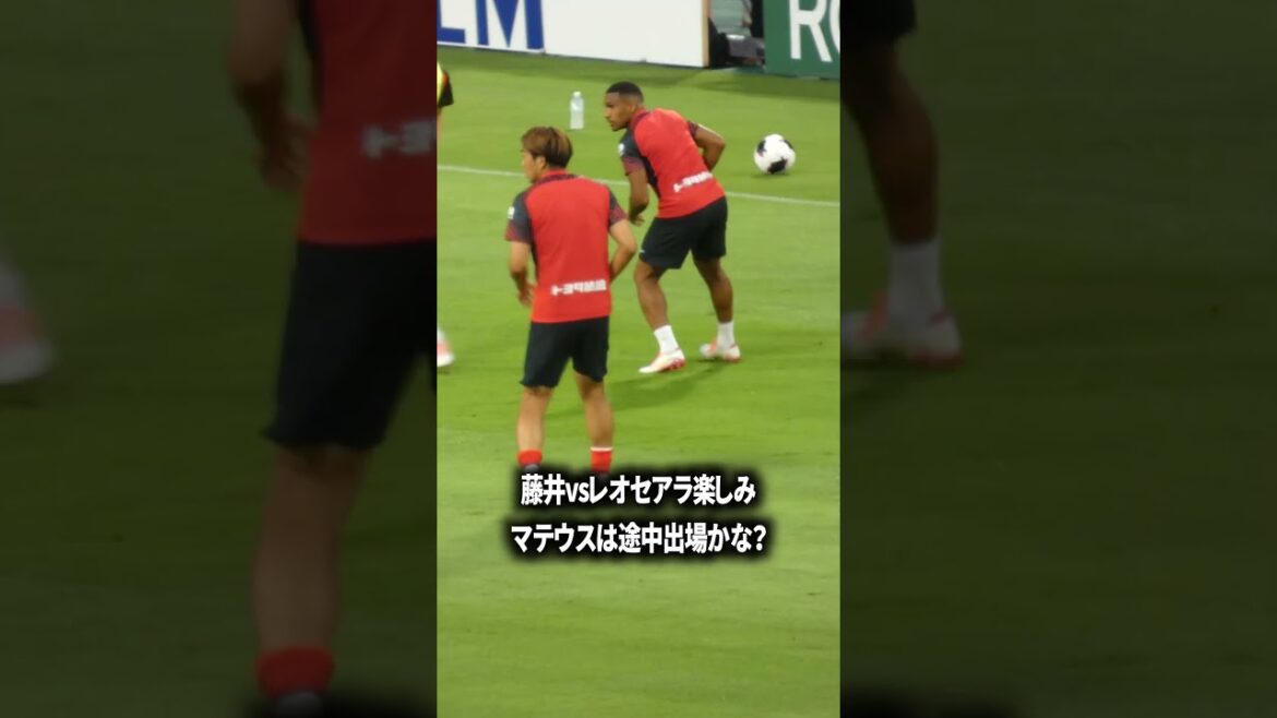藤井vsレオセアラ楽しみすぎる