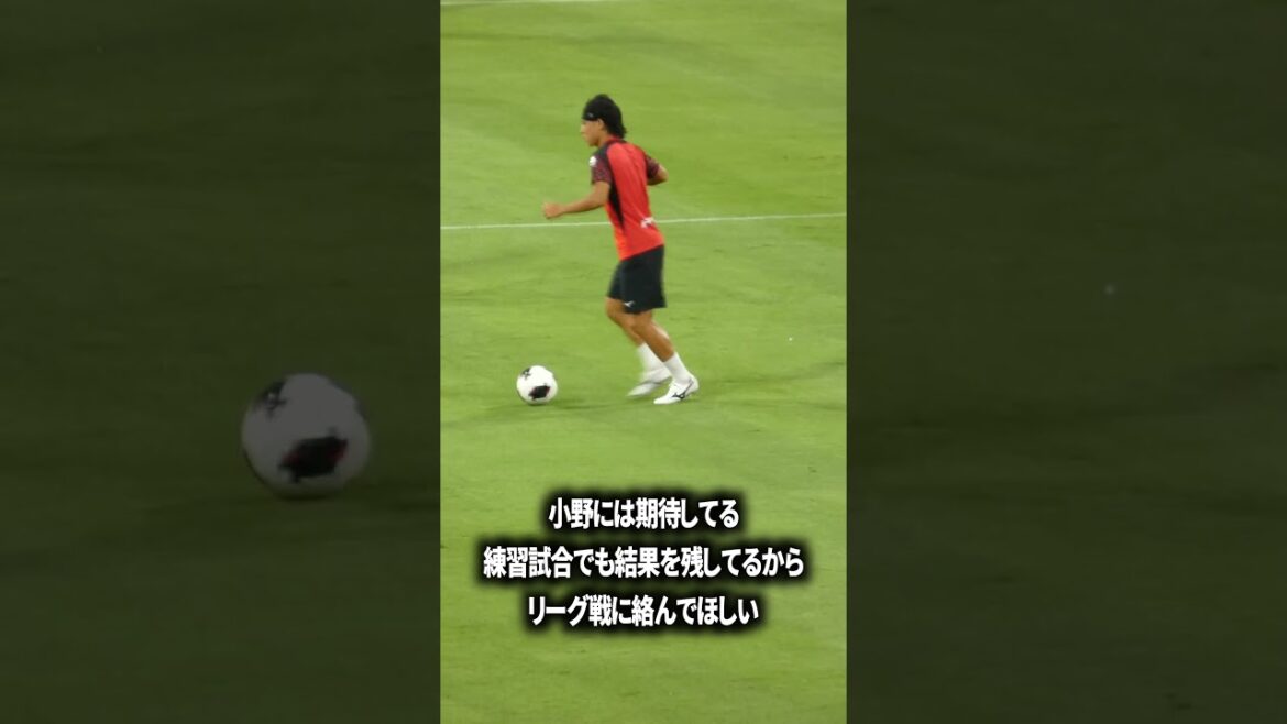 小野には期待してる