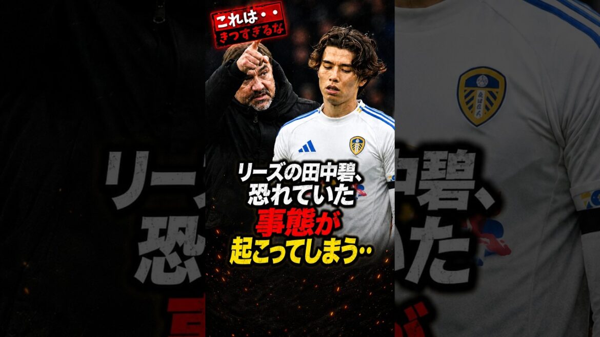 【悲報】リーズの田中碧、恐れていた事態が起こってしまう…中盤補強で序列低下の危機? #田中碧 #リーズ #プレミアリーグ #日本代表 #海外サッカー #移籍情報 #AoTanaka #サッカー日本代表 【悲報】リーズの田中碧、恐れていた事態が起こってしまう…中盤補強で序列低下の危機? #田中碧 #リーズ #プレミアリーグ #日本代表 #海外サッカー #移籍情報 #AoTanaka #サッカー日本代表